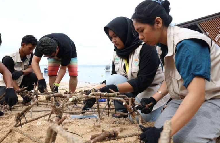 Mahasiswa UGM Lakukan Pemulihan Terumbu Karang Bunaken