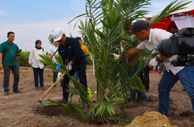 60.000 Hektare Sawit Diremajakan Hingga 2026