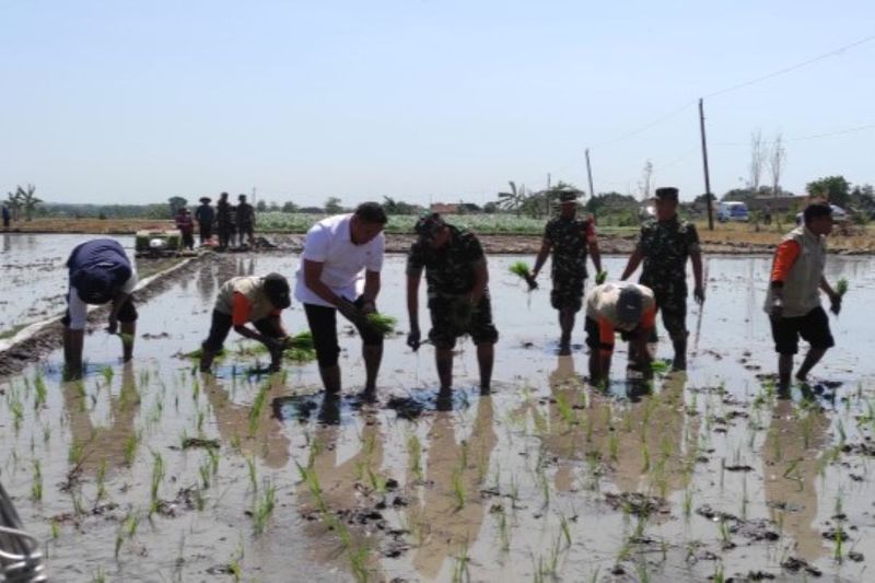 Wamentan Sudaryono Ajak Warga Boyolali Kawal Perluasan Areal Tanam Padi