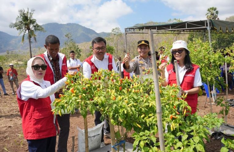 Pupuk Indonesia Bantu Nelayan NTT Membangun Kemandirian Pangan