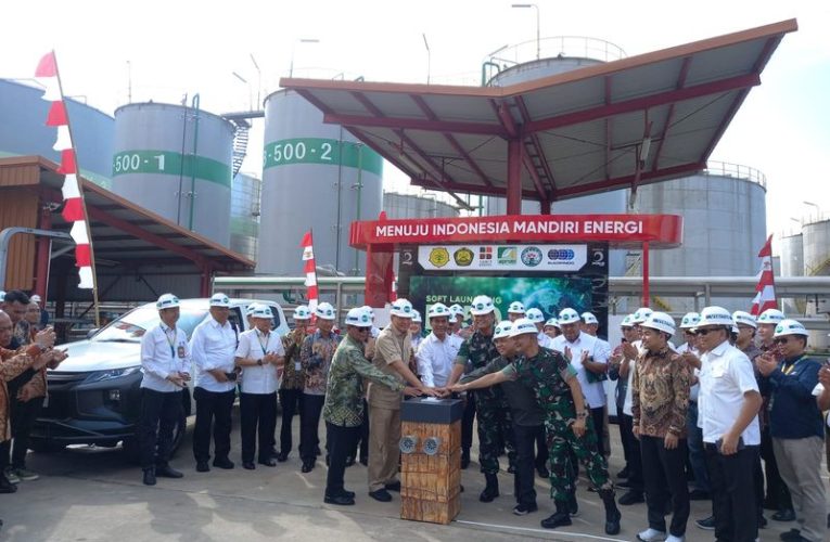 Indonesia Menuju Lumbung Pangan dan Energi Dunia