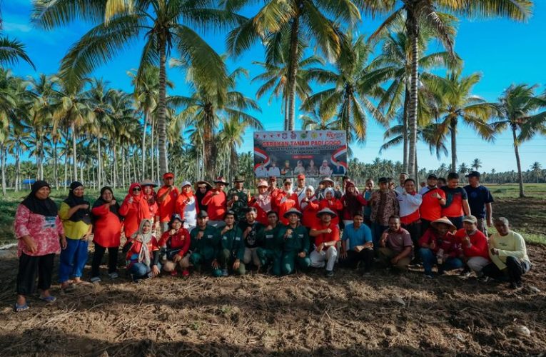 Meriahkan HUT RI, Kementan Lakukan Penanaman PadiGogo di Gorontalo