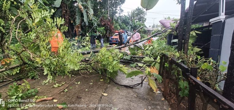 Hujan Lebat di Padang, Sejumlah Kawasan Tergenang Air, Pohon Tumbang