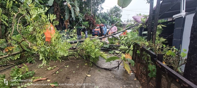 Hujan Lebat di Padang, Sejumlah Kawasan Tergenang Air, Pohon Tumbang