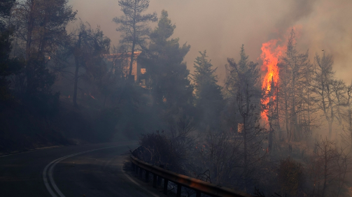 5 Ribu Hektare Hutan di Pulau Tujuan Wisata Portugal Terbakar