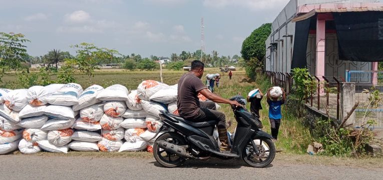 Dampak Perubahan Iklim, Sektor Pertanian di Sumut Terancam