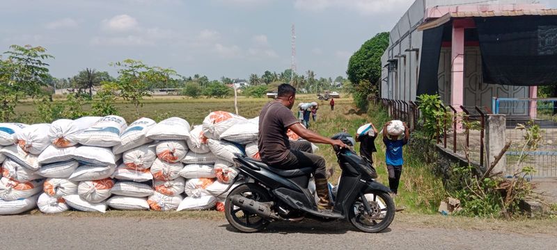 Dampak Perubahan Iklim, Sektor Pertanian di Sumut Terancam