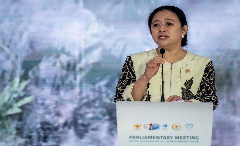 Puan Maharani IAPF Dorong Sinergi Parlemen Indonesia-Afrika