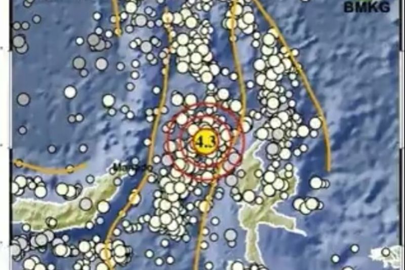 Halmahera Barat, Maluku Utara Diguncang Gempa M4.3