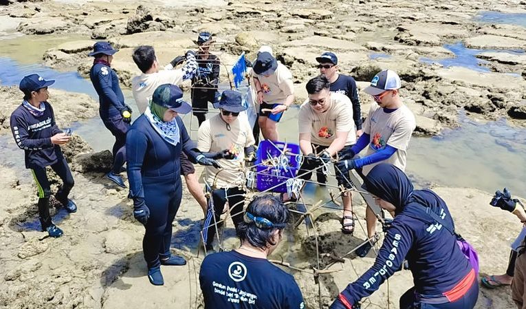 PNM Peduli Tanam Ribuan Pohon Mangrove dan Terumbu Karang di Kalimantan