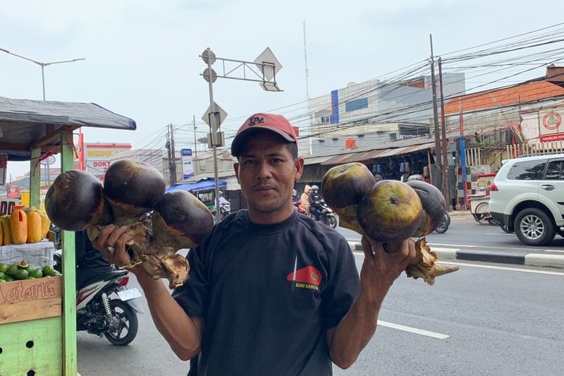 9 Manfaat Buah Lontar bagi Kesehatan, Baik untuk Ginjal