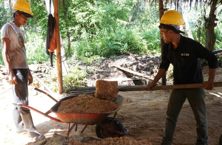 Libatkan 1,25 Juta Masyarakat Dalam Rantai Pasok, PLN EPI Targetkan Pemanfaatan 2 Juta Ton Biomassa