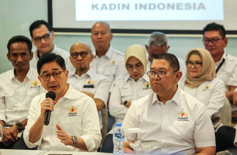 Kisruh Kepemimpinan Kadin Bikin Kabur Investor