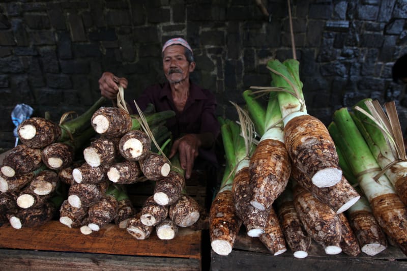 8 Manfaat Talas bagi Kesehatan, Bisa Menurunkan Risiko Kanker