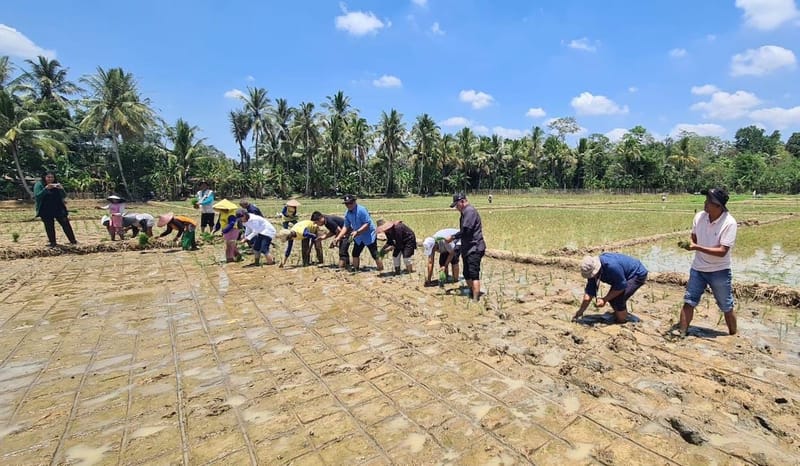 Mentan Genjot Irpom, Panen Berlipat di Pandeglang