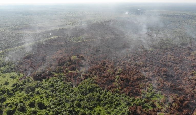 BMKG Ingatkan Waspada Karhutla di Beberapa Wilayah