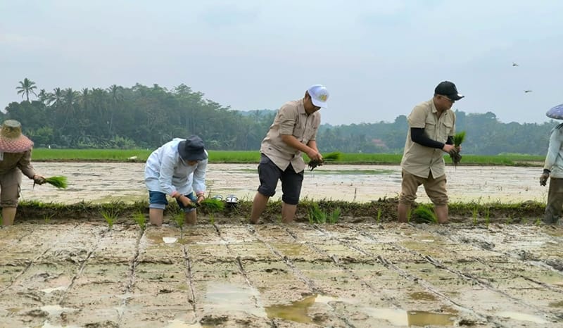 Berhasil Tanam untuk Kali Ketiga, Bantuan Irpom dan Benih Dorong Semangat Petani Hadapi Cuaca Ekstrem