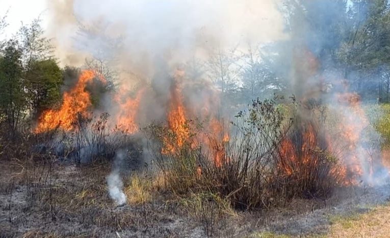 Diguyur Hujan, Titik Panas di Babel Mulai Berkurang