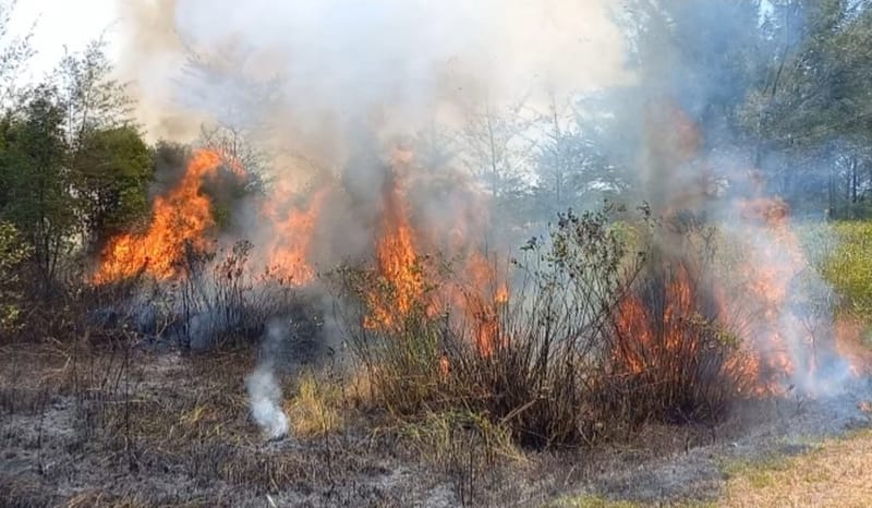 Diguyur Hujan, Titik Panas di Babel Mulai Berkurang