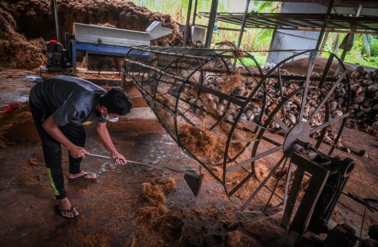 Bappenas Ungkap Tantangan Hilirisasi Kelapa di Indonesia Timur