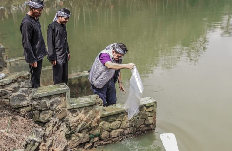 Pemkab Ciamis Tebar 40 Ribu Ikan di Situ Golempang