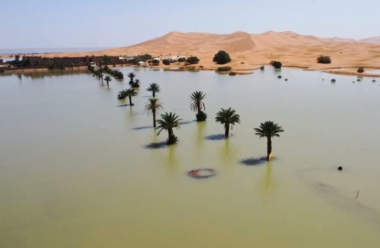 Potret Gurun Sahara Terendam Banjir, Pertama Kalinya dalam 50 Tahun Terakhir