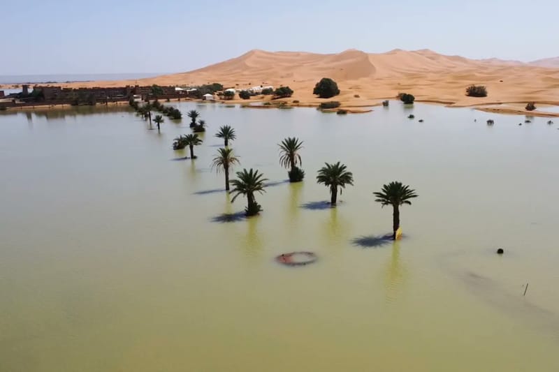 Potret Gurun Sahara Terendam Banjir, Pertama Kalinya dalam 50 Tahun Terakhir