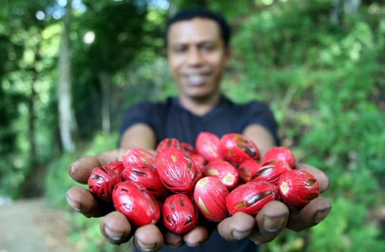 9 Manfaat Buah Pala bagi Kesehatan, Bisa Membantu Mengatasi Insomnia