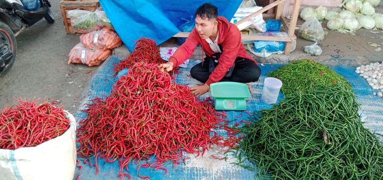 Harga Mulai Menggeliat, Wajah Petani Cabai Merah di Aceh Cerah