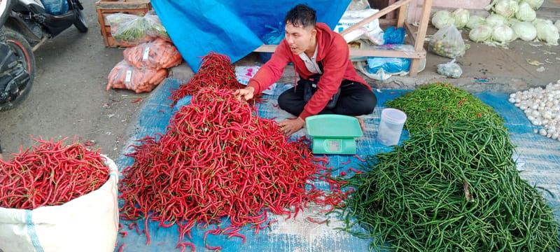 Harga Mulai Menggeliat, Wajah Petani Cabai Merah di Aceh Cerah