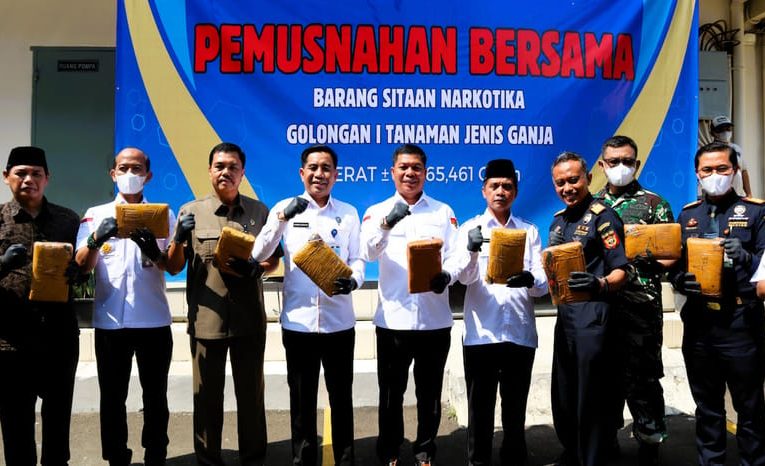 Bea Cukai dan BNNP Banten Musnahkan 110 Kilogram Ganja Hasil Penindakan di Cilegon