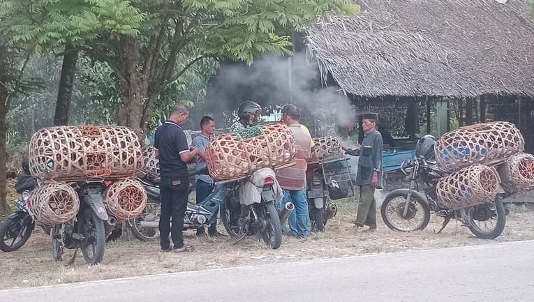 Musim Maulid Pengaruhi Permintaan Ayam Kampung Di Aceh