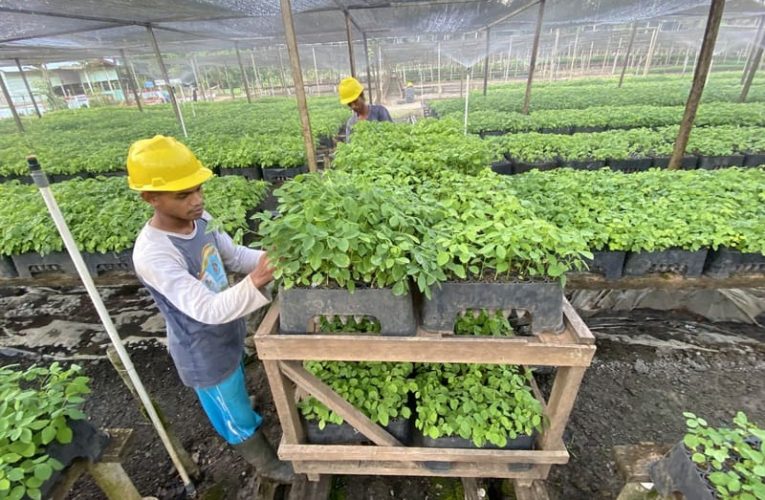 Hijaukan Masa Depan, BJA Crew Tanam Gamal di Gorontalo