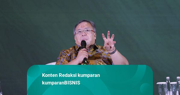 Penasihat Prabowo Yakin Efisiensi Anggaran Tak Akan Mengganggu Penerimaan Pajak