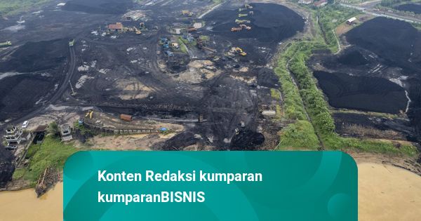 Harga Komoditas: Batu Bara Ambles 1,6 Persen, Timah Cenderung Stagnan