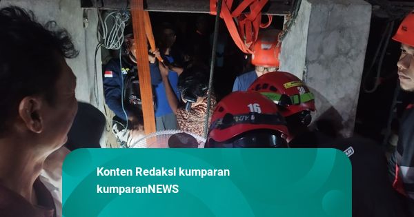 Sapi di Sleman Tercebur ke Sumur, Damkar Datang dan Selamatkan