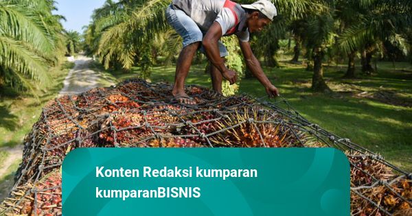 Harga Minyak Mentah hingga Sawit Naik, Batu bara & Nikel Merosot Tajam