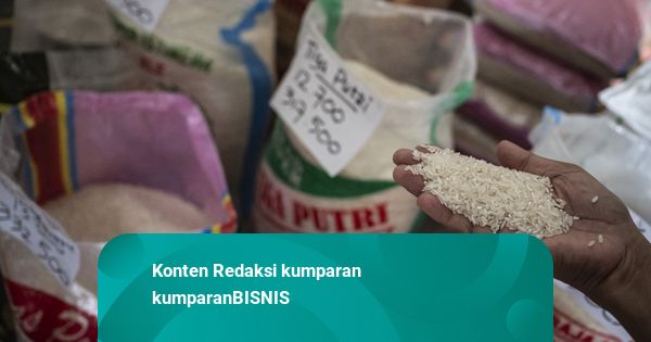 Mentan Sebut Masyarakat Berpotensi Rugi Rp 99,35 T Imbas Penjual Akali Isi Beras