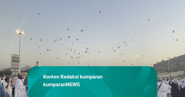 Saudi Tegaskan Tidak Ada Haji Tanpa Izin demi Keamanan dan Kenyamanan Jemaah