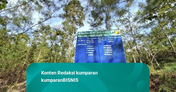 Populer: Izin Tambang di Raja Ampat; Diskon Tarif Tol 20 Persen