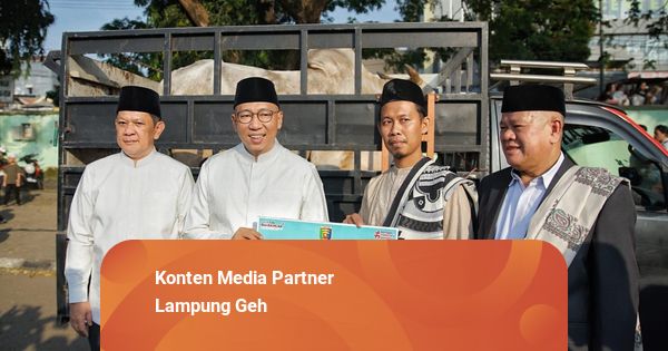 Pemprov Lampung Salurkan 81 Ekor Sapi Kurban, 16 Ekor dari Presiden Prabowo