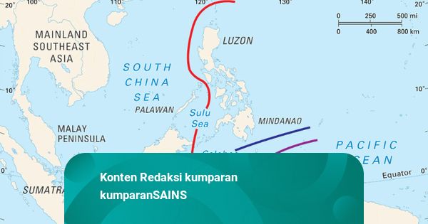 Mengenal Garis Wallace, Batas Pemisah 2 Kerajaan Hewan di Indonesia
