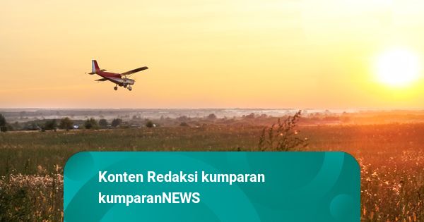 4 Orang Tewas dalam Insiden Pesawat Kecil Jatuh di London